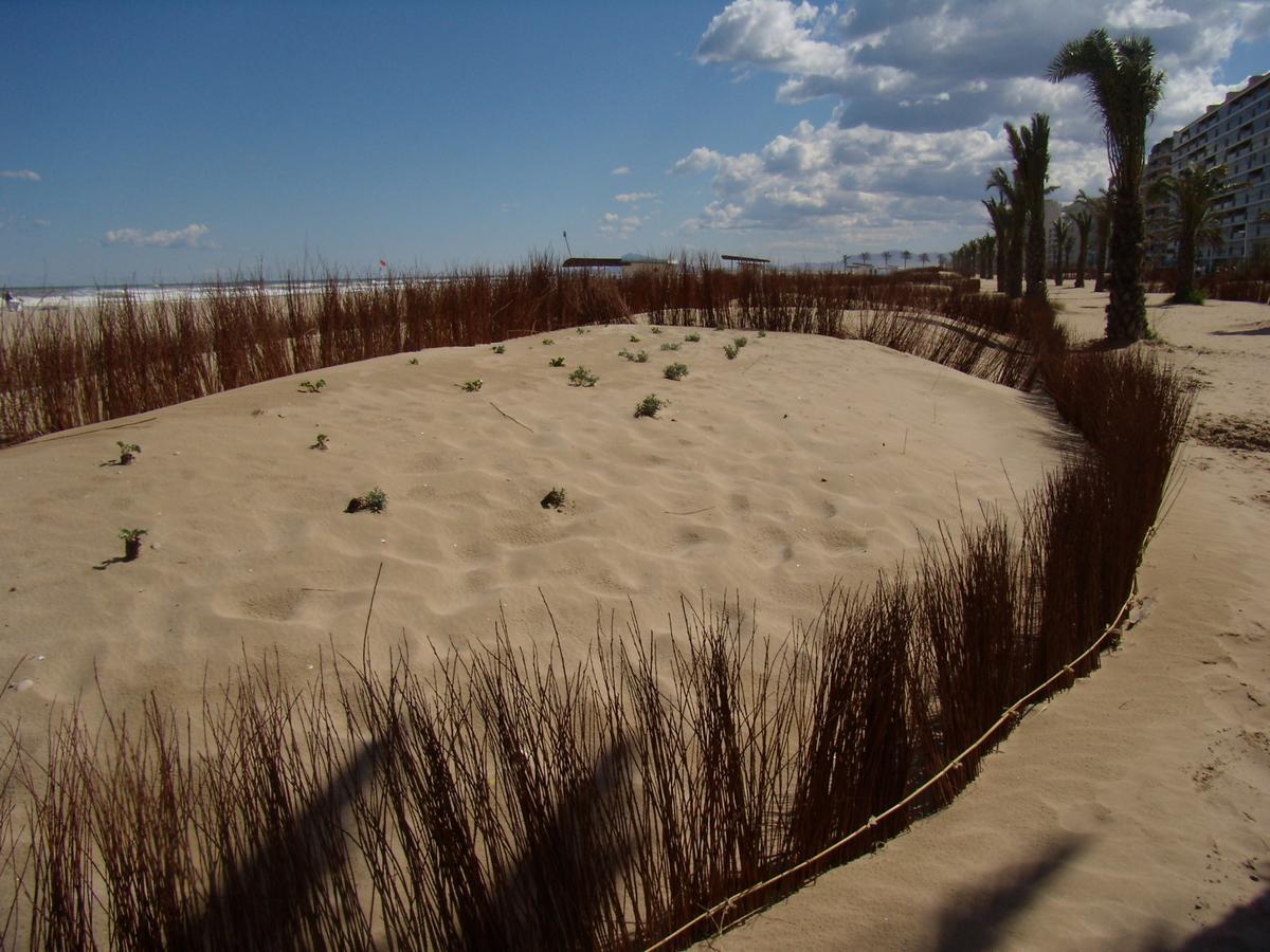 Beach & Port Gandia Ngoại thất bức ảnh